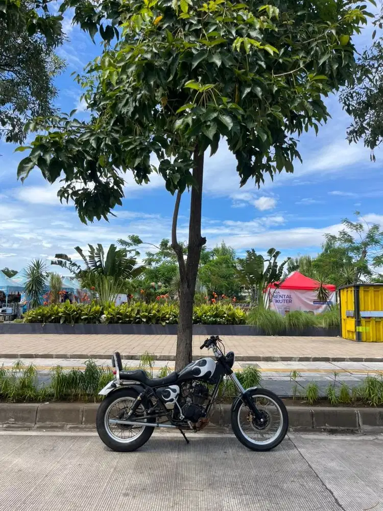 Custom Bobber Basic Tiger 200 cc(bukan japstyle caferacer chopper)