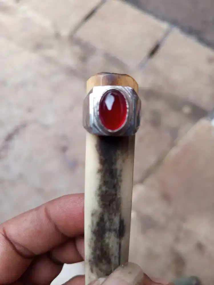 Baru Natural Red Baron