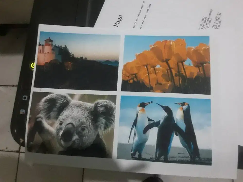 Jual cepat printer Hp2060 Bisa scan copy print siap pakai