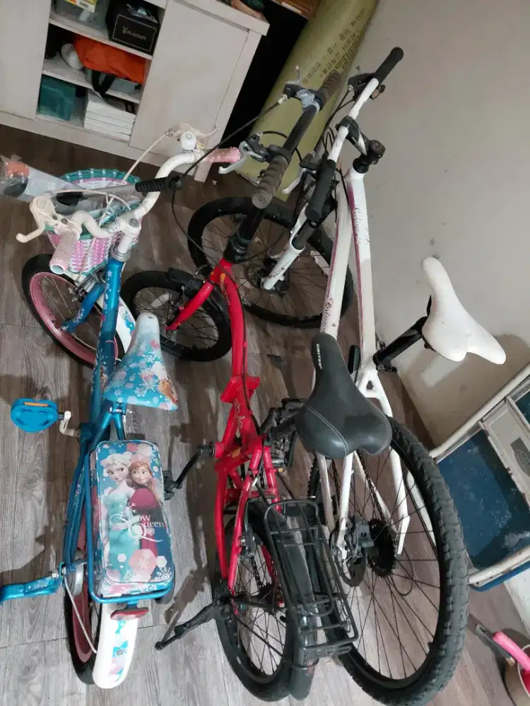 Sepeda Bundling Merk Polygon United Wymcicle