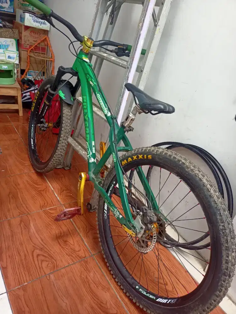 Polygon DX 40 langka