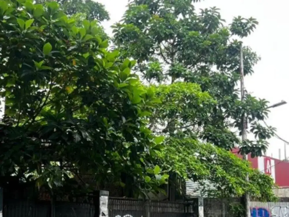 Rumah di Kemang Jakarta Akses Strategis