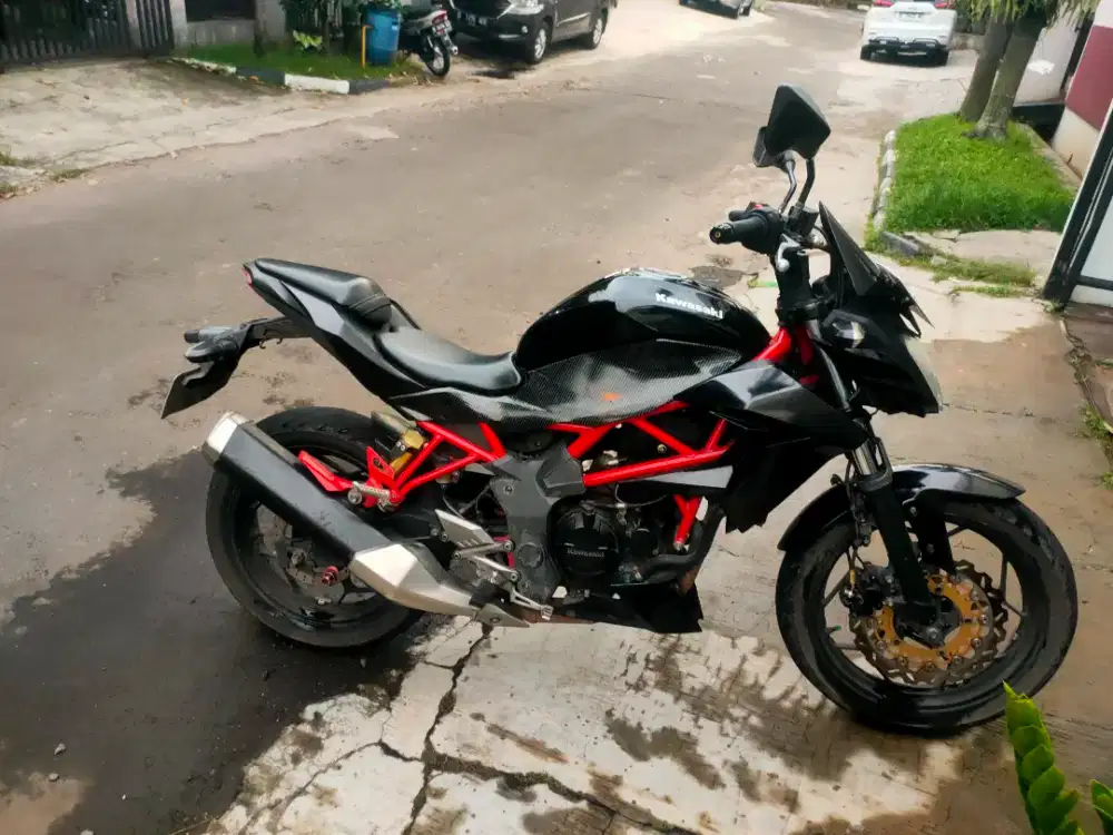 Kawasaki Ninja Z250SL