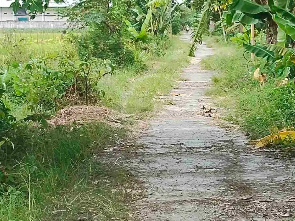 Tanah papahan karanganyar kota