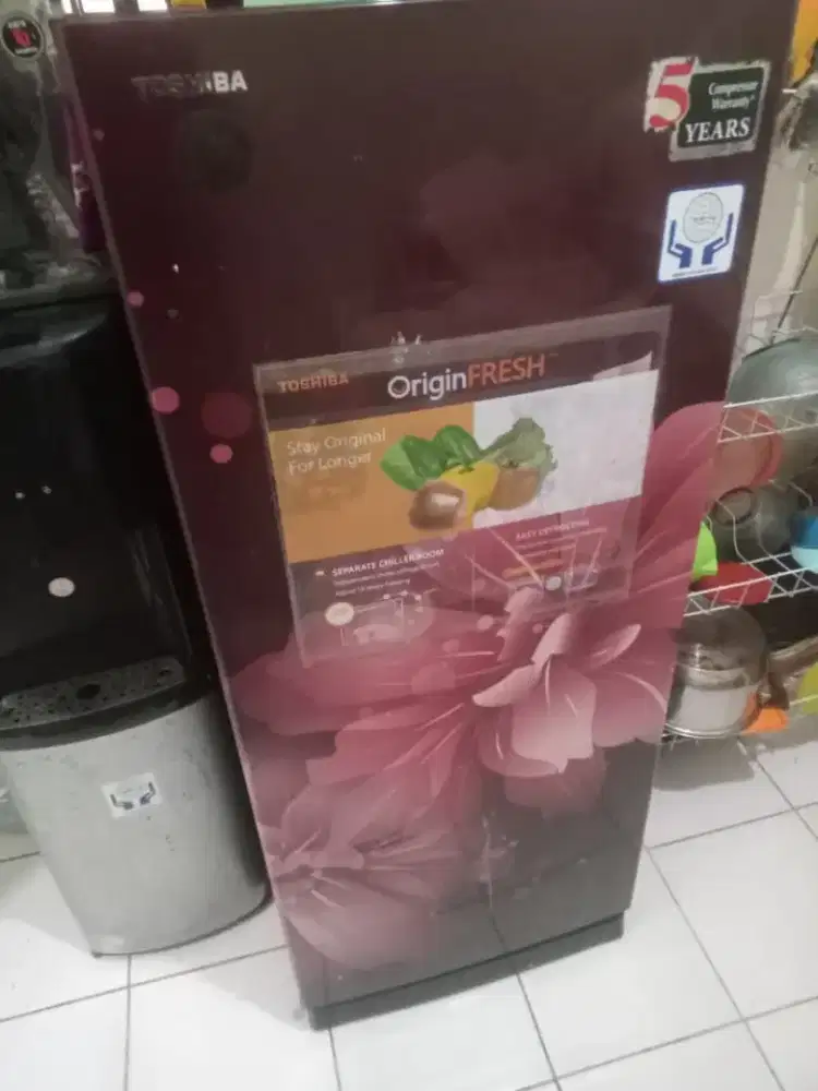 Kulkas Toshiba 1 Pintu