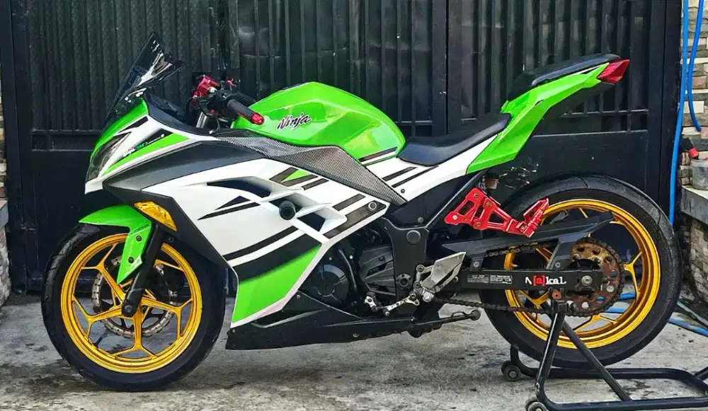 Kawasaki Ninja 250