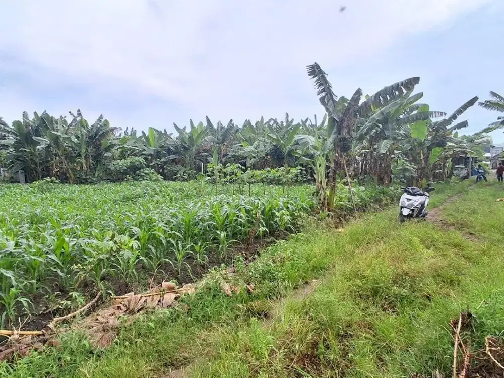 Tanah Murah Srembi Kebomas Gresik Dijual Cepat Edisi B.U Poll SHM