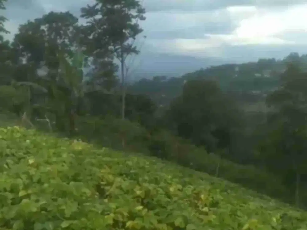 Tanah kebun pasir impun atas Akses masuk mobil.