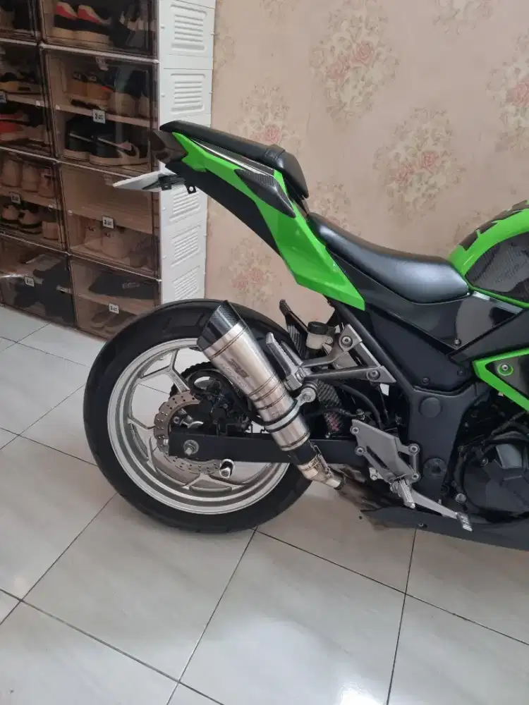 Kawasaki ninja 250cc