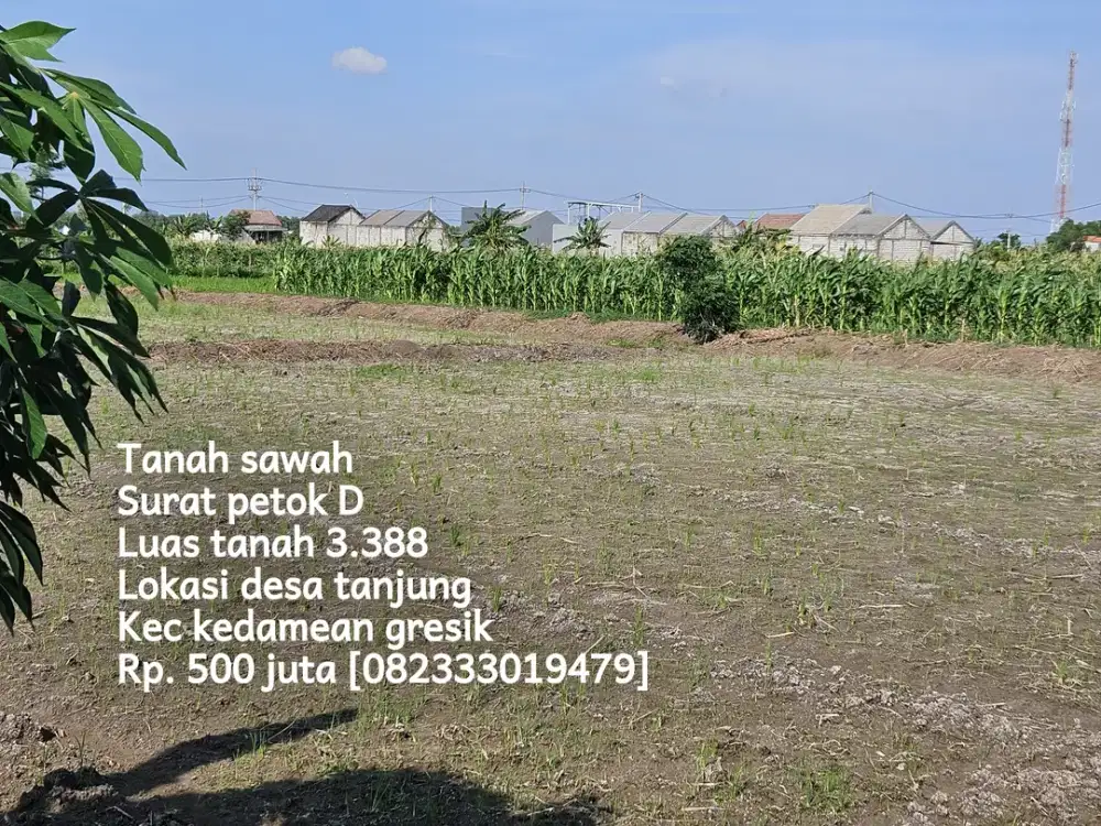 Tanah sawah mepet perumahan kedamean