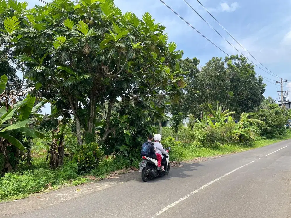 Dijual tanah deket kampus UNNES