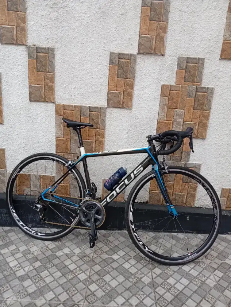 Sepeda roadbike Focus cayo karbon