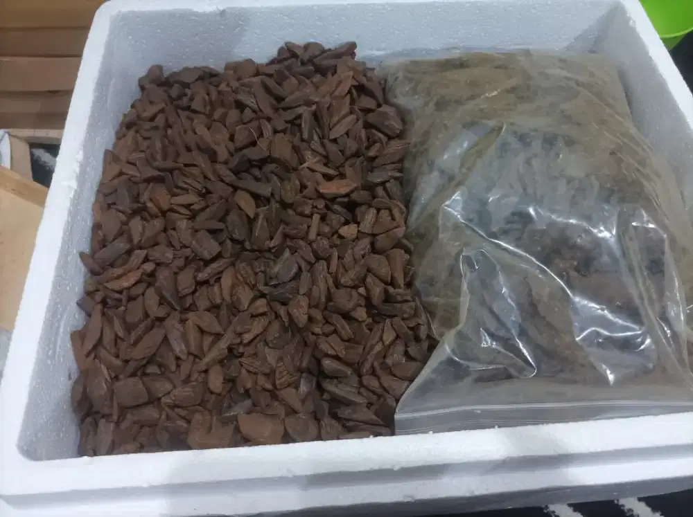 Kayu Gaharu Sana'i Marauke