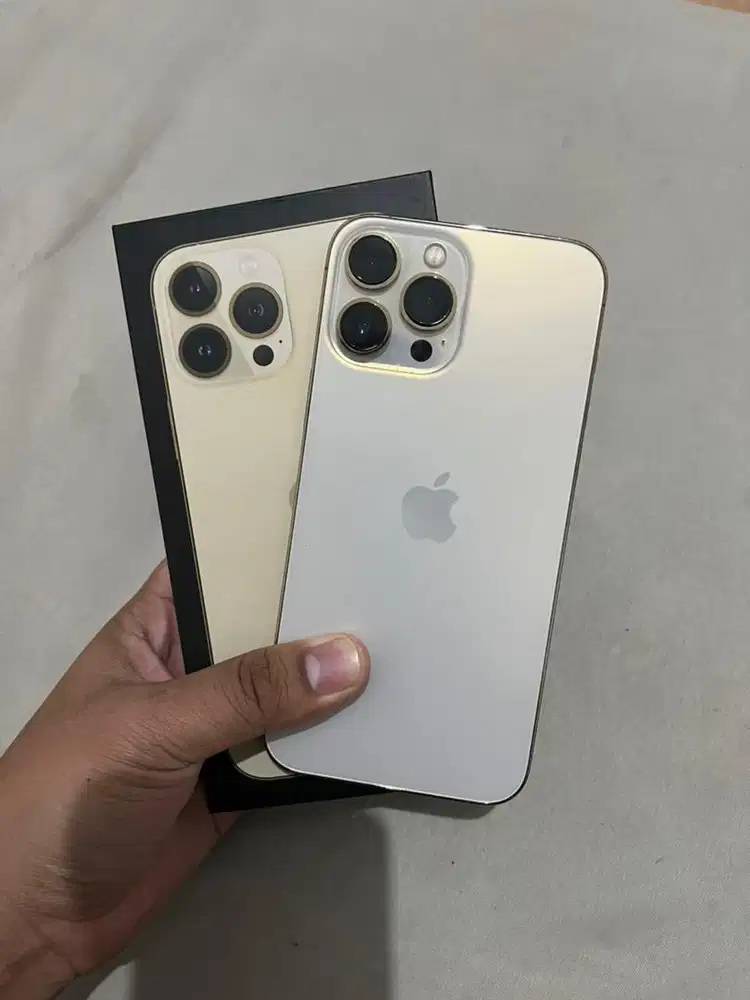 iPhone 13 Pro Max 128GB Beacukai