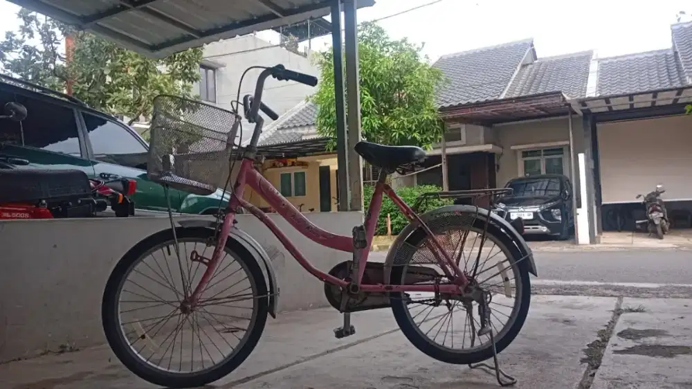 Sepeda Wimcycle PinK Anak Perempuan