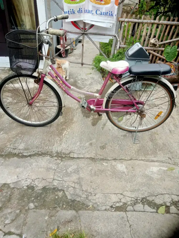 Jual sepeda Bekasi tampak baru