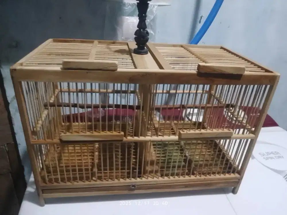 kandang sekat burcil