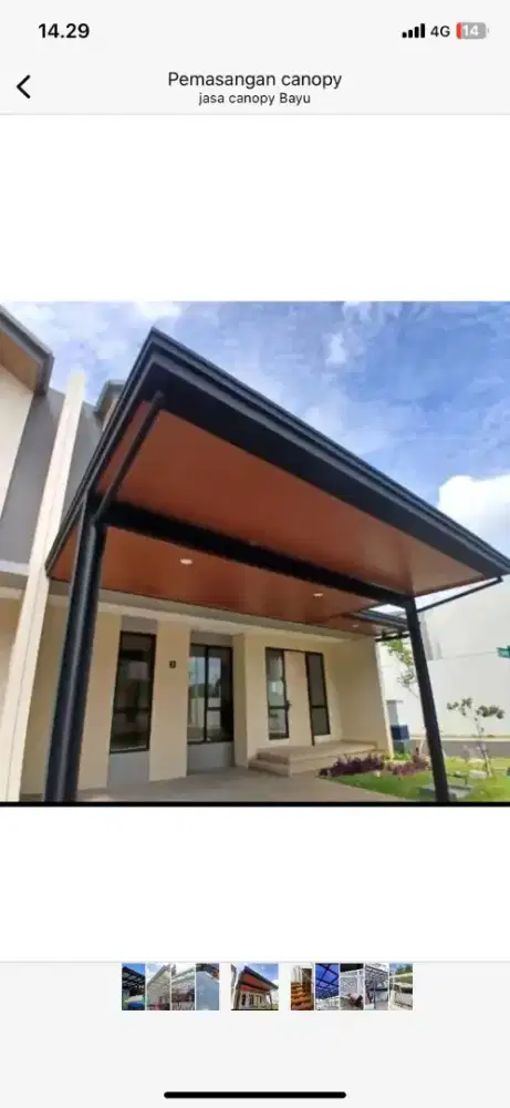 Canopy alderon palapon pvc