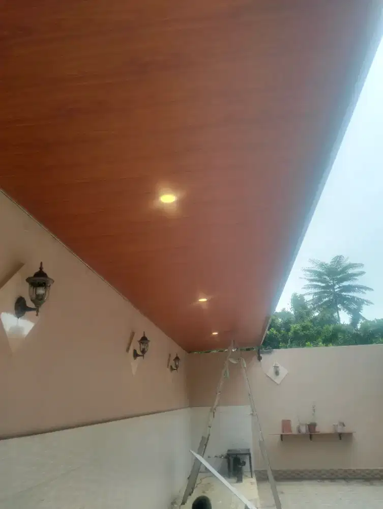 Canopy alderon palapon pvc