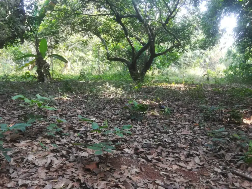 Dijual Tanah Siap Bangun di Purwakarta