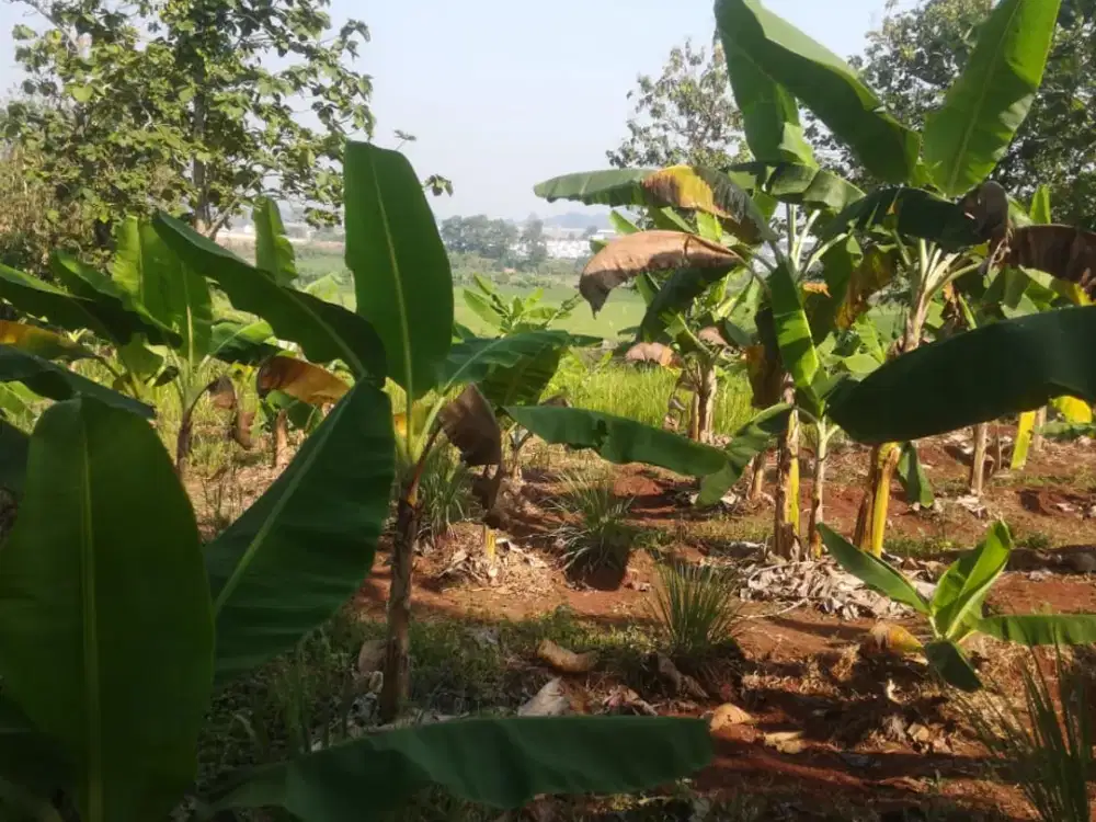 Dijual Tanah Strategis di Purwakarta