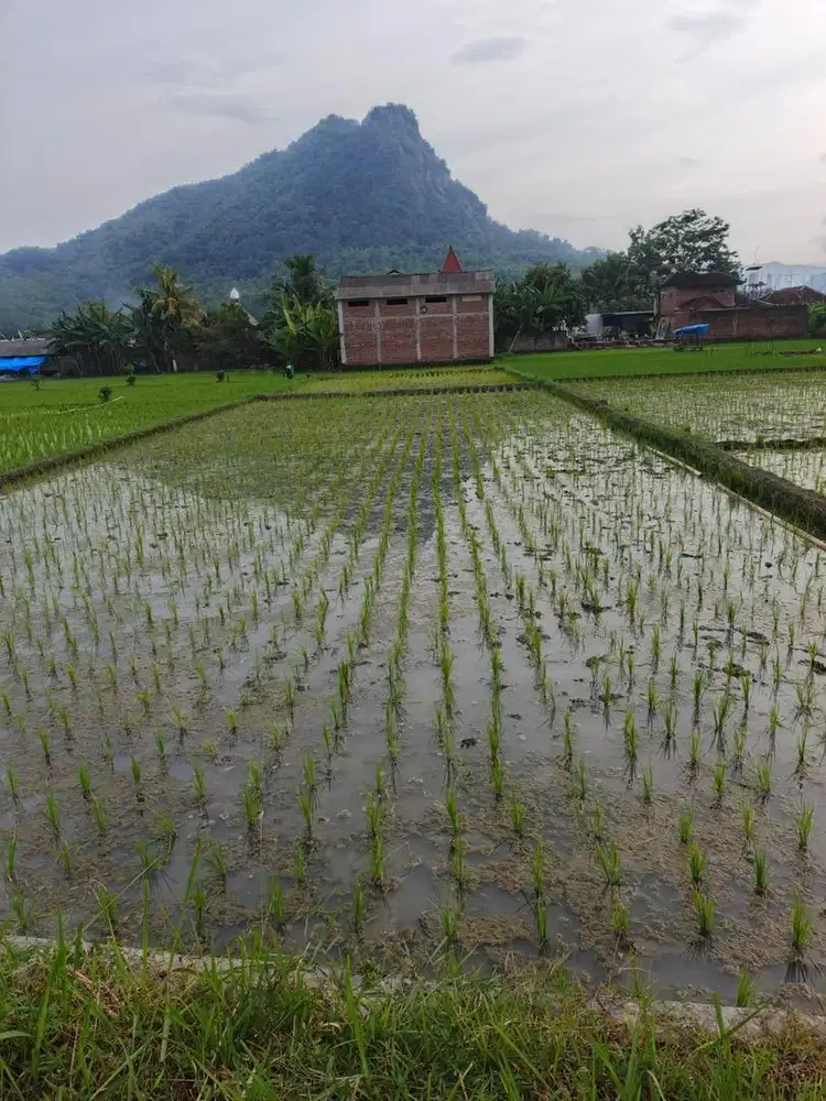 DIJUAL TANAH STRATEGIS – TEPI JALAN LINTAS PROVINSI