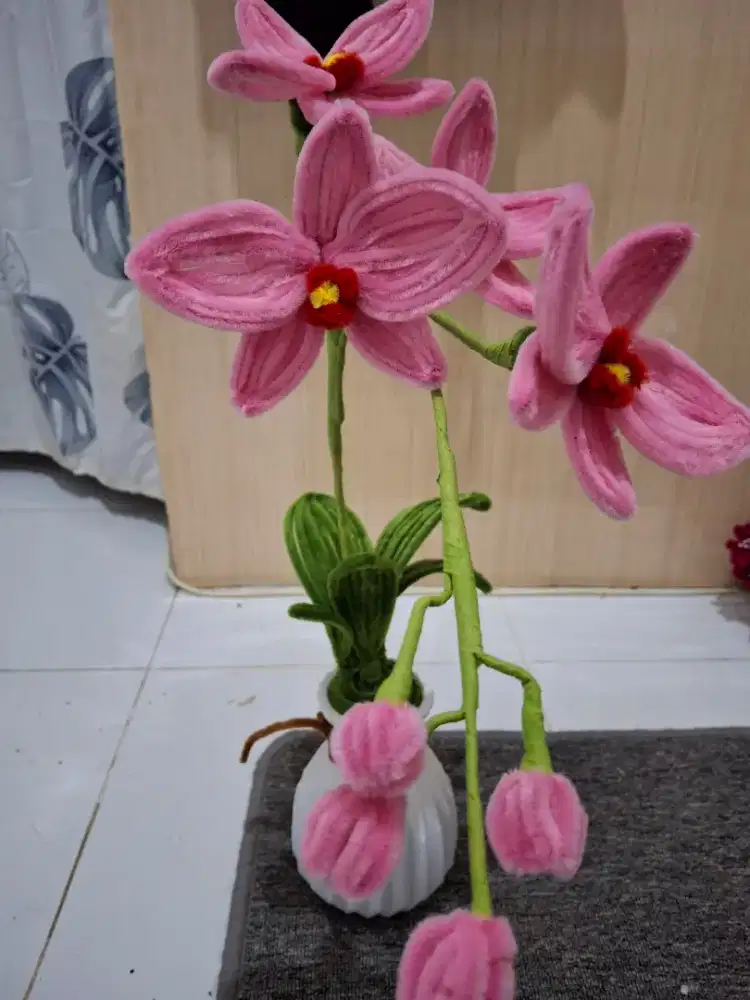 tanaman hias kawat bulu