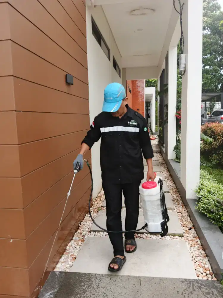 Ahlinya anti rayap basmi rayap murah bergaransi