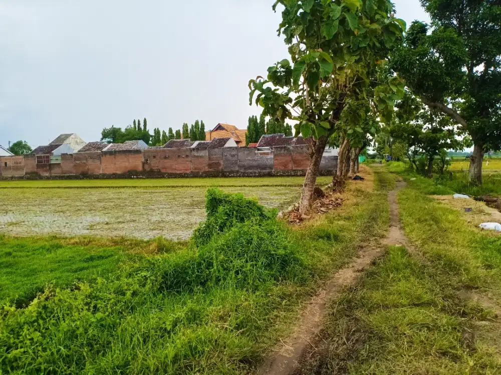 Dijual Tanah Sawah di Embarkasi Haji