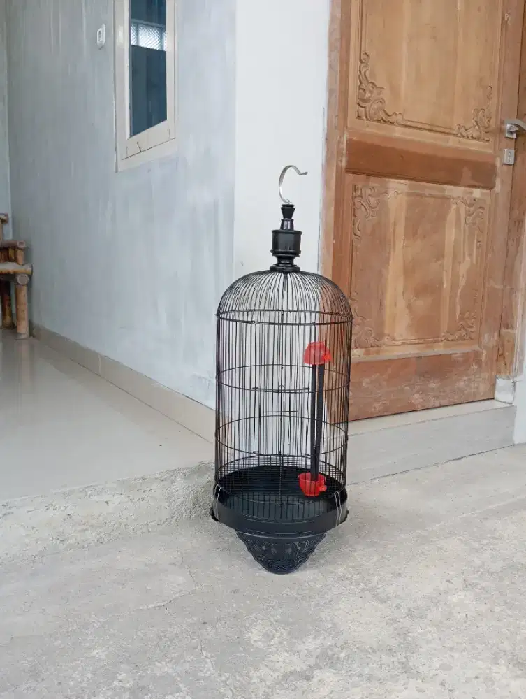 BARU... Sangkar Besi BESAR
Tebok Plastik, Diameter 33 cm