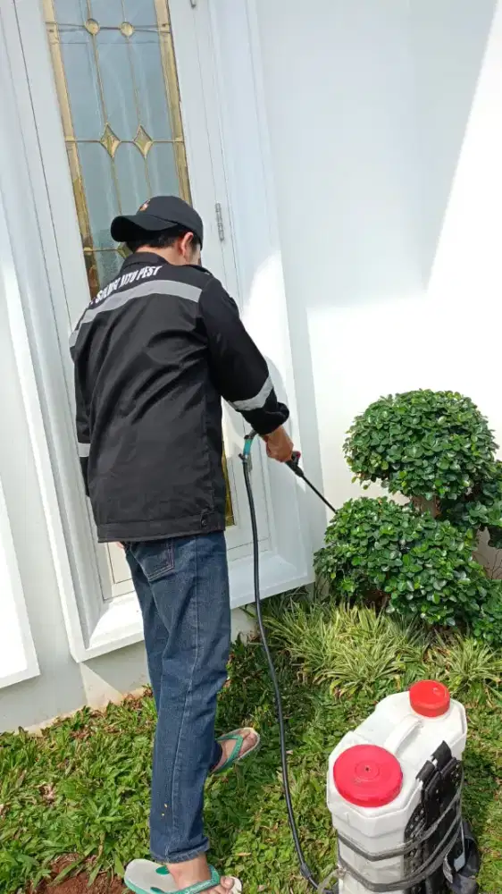 Basmi rayap tuntas terpecaya ampuh bergaransi