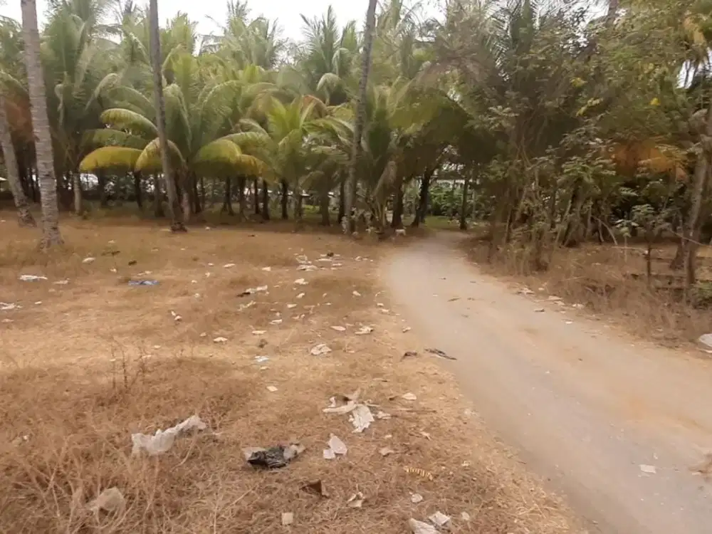 Dijual Tanah di Tanjung Desa Medana Lombok Utara