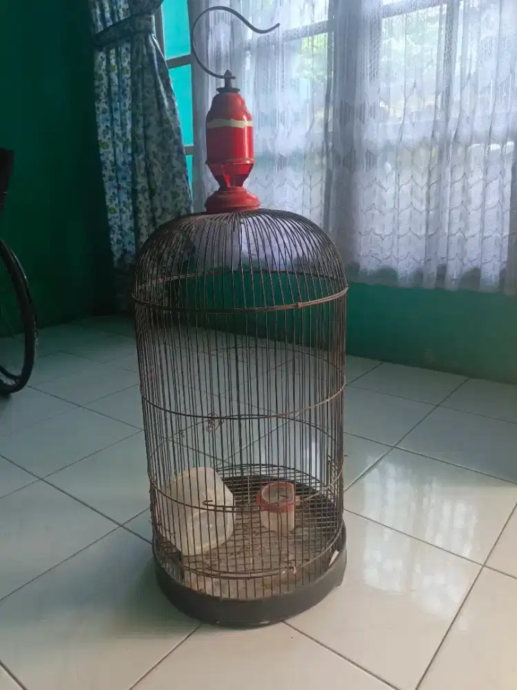 Kandang burung besi kokoh