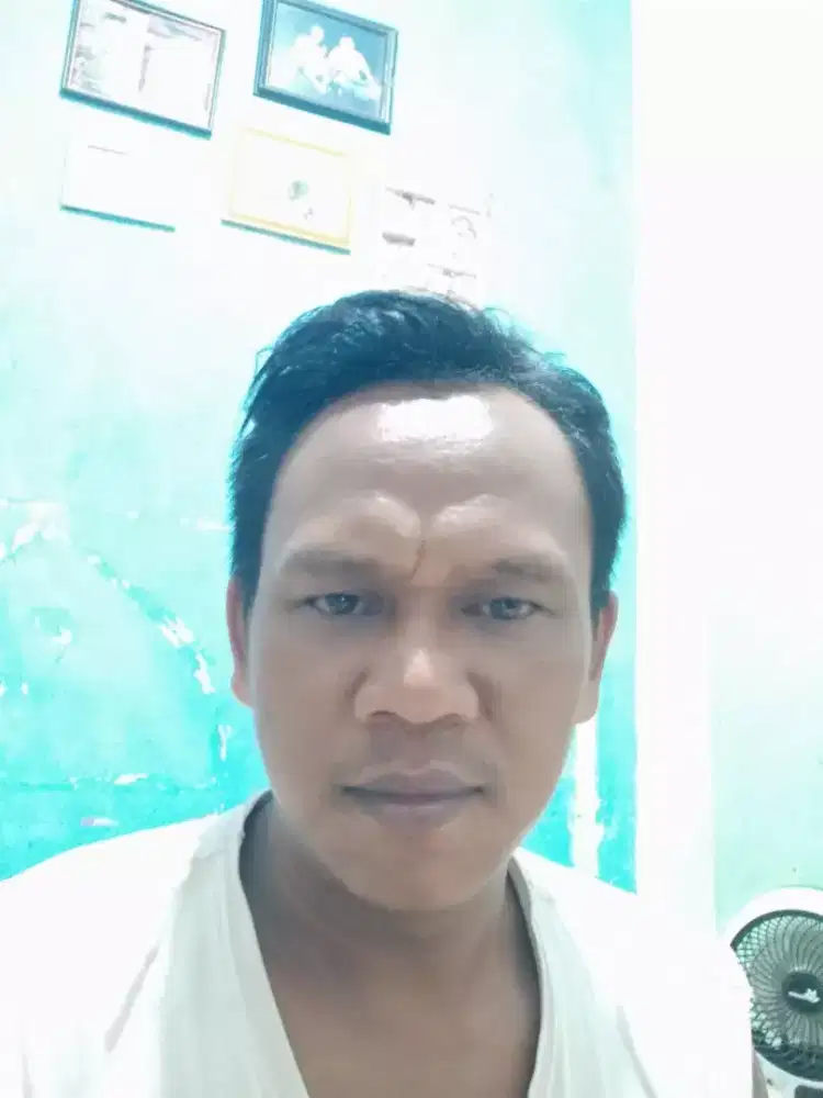 Jasa sopir pribadi/ frelen