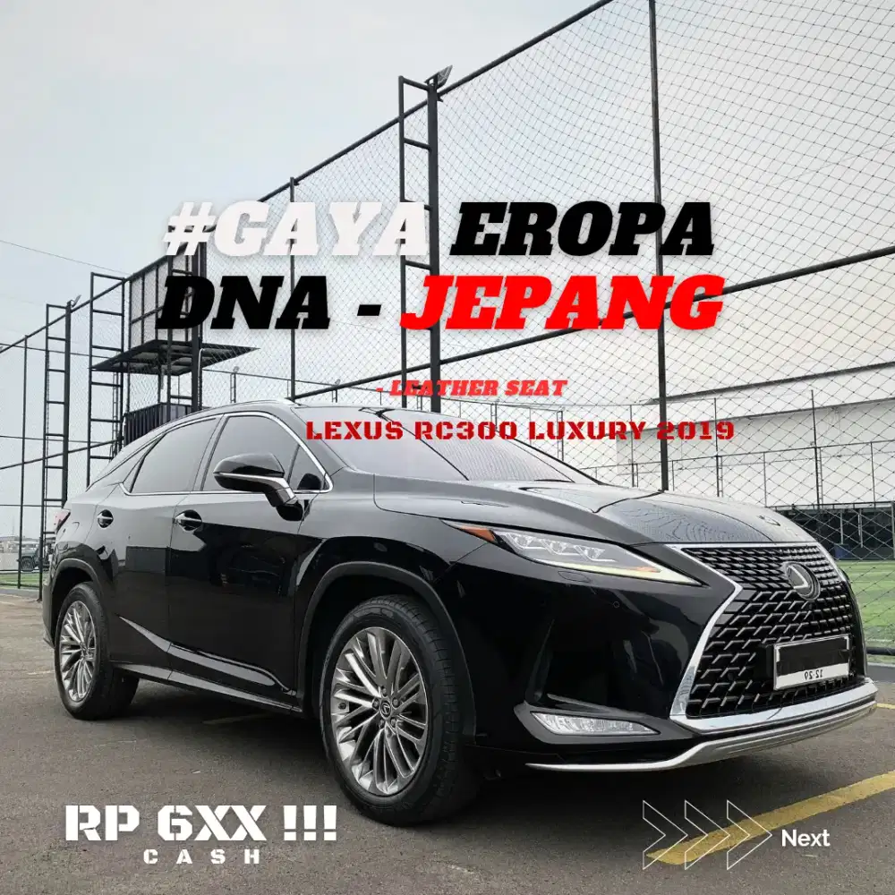 LEXUS RX300 RX300 2019