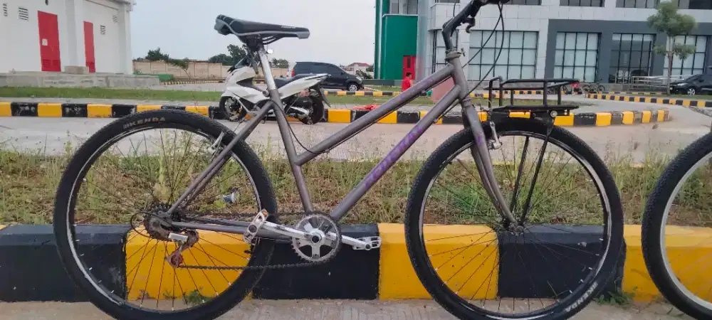 Sepeda federal city cat