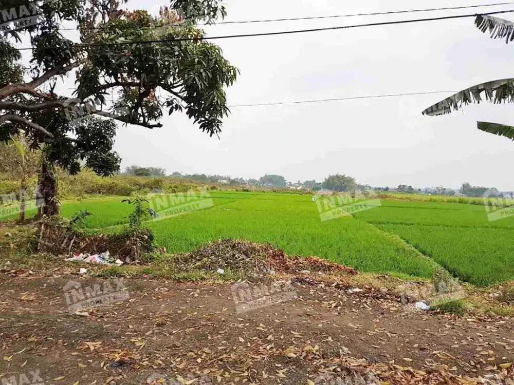 Tanah Luas 5.115 m2 Raya MONDOROKO Singosari, Cocok Dibangun Gudang dan Usaha lainnya