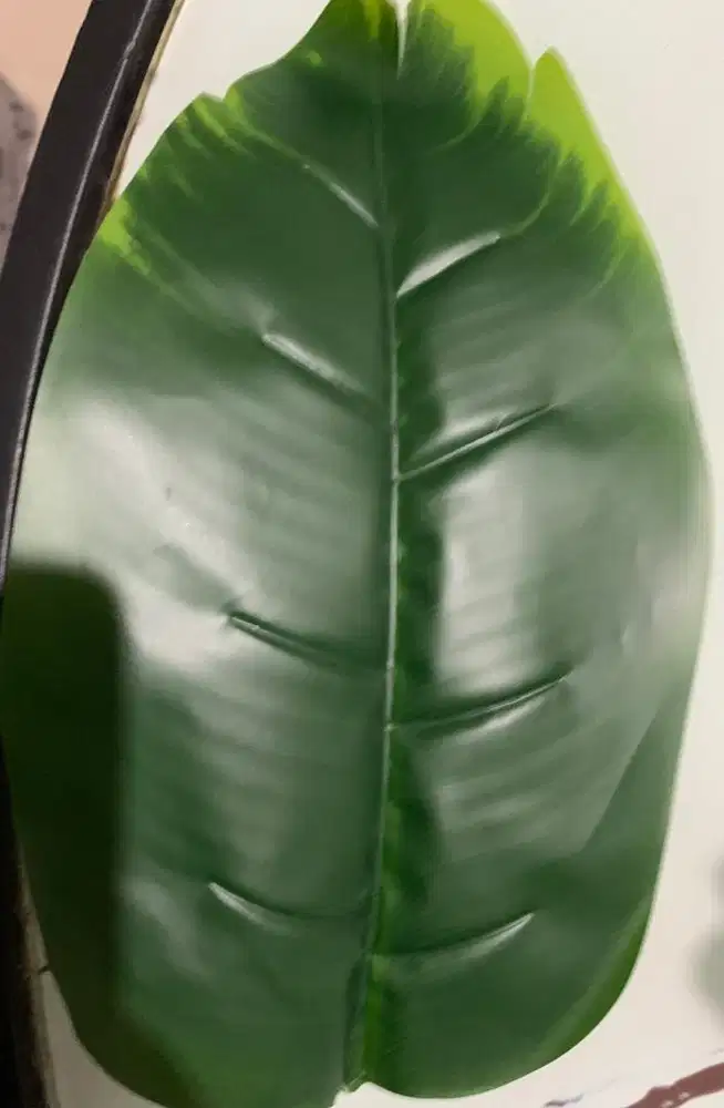 Asisten Rumah Tangga (ART) Menginap