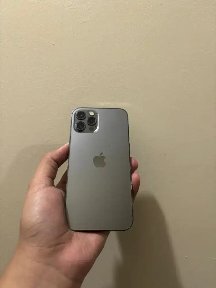 iPhone 12pro inter