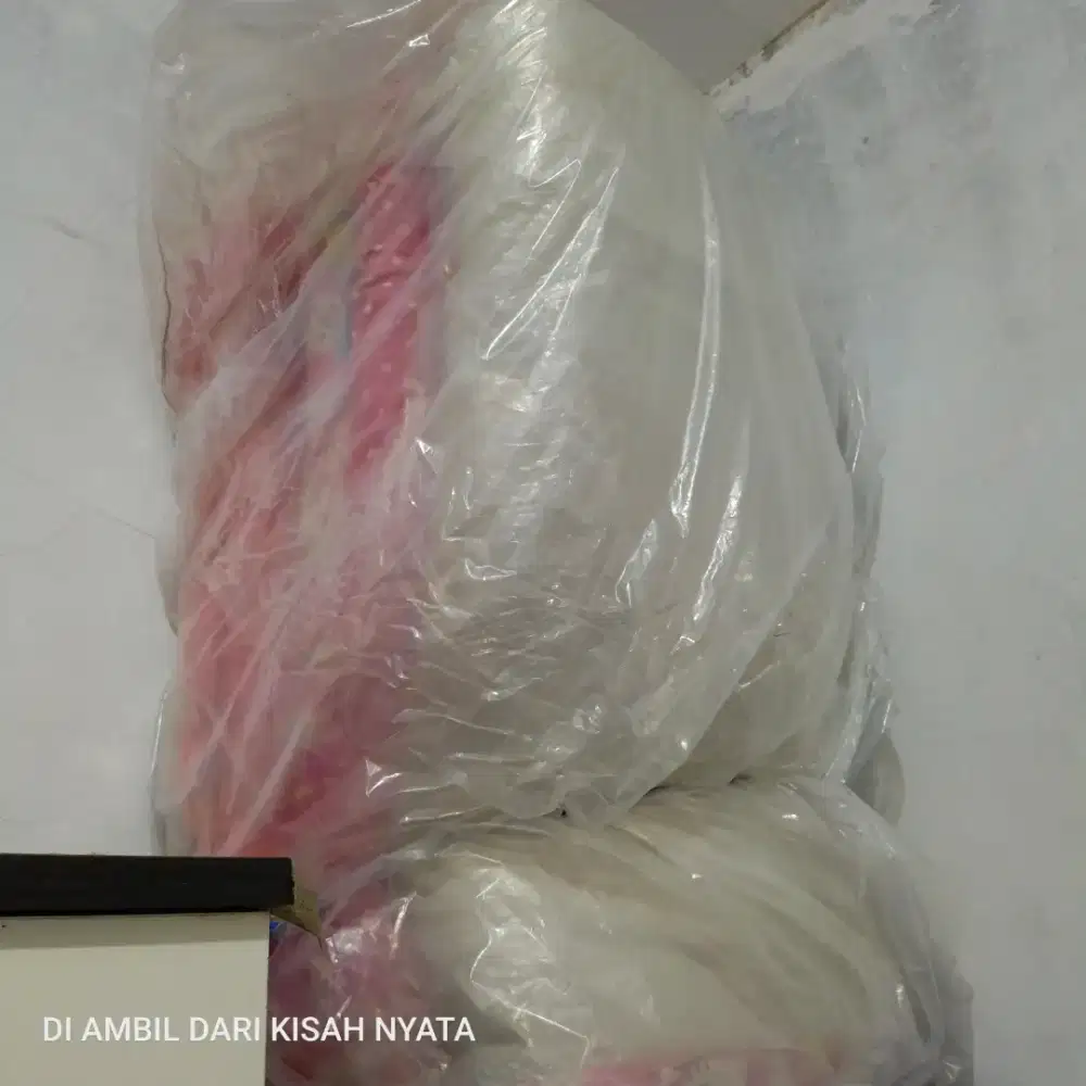 Kasur ukuran P 200 lebar 90 tinggi 10 cm. Dapet 2