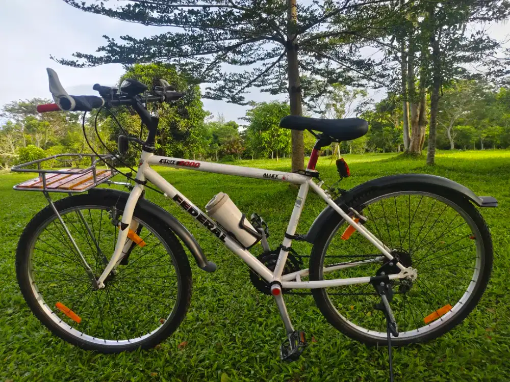 Sepeda Federal Alleycat Original