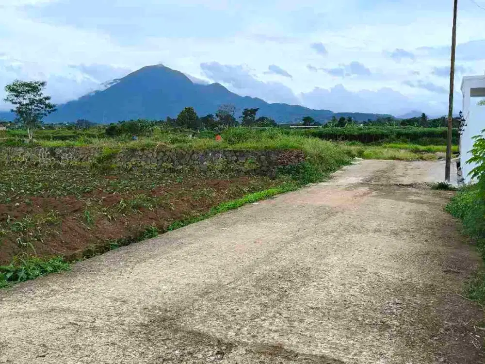 Dijual Kavling Vila Siap Bangun Murah Pamijahan Bogor