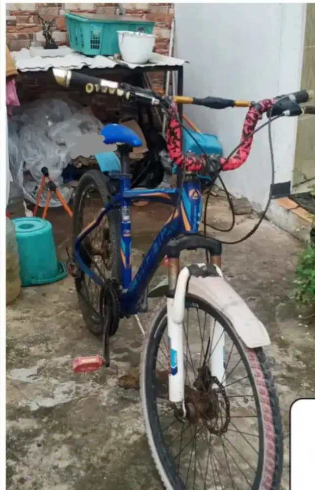 MTB.PACIFIC ASCARDIA Anti karat(Alloy)NETT