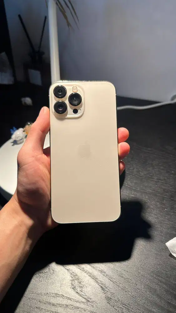 iPhone 13 Pro Max 256GB Gold Mulus 100% | Nego
