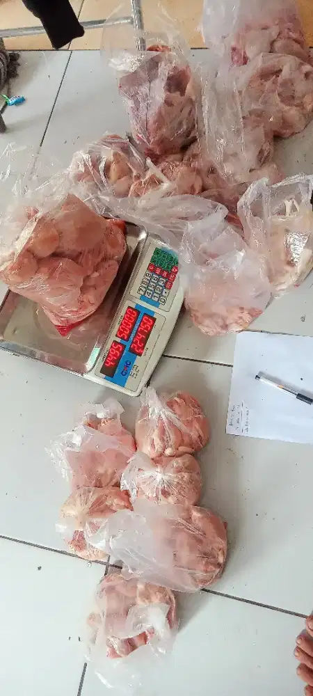 filet dada filet paha dn lainya