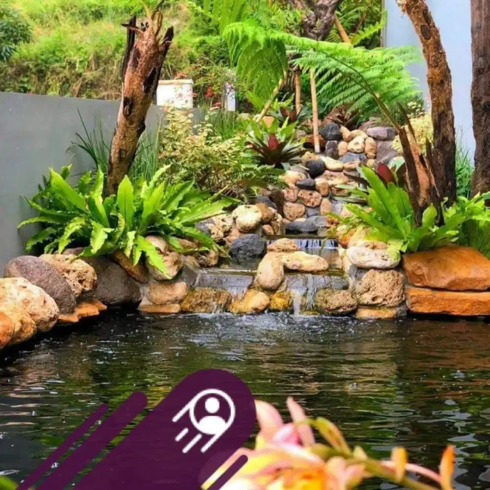 Kolam Natural Ikan Koi