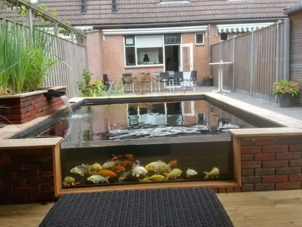 Kolam Ikan Koi Murah