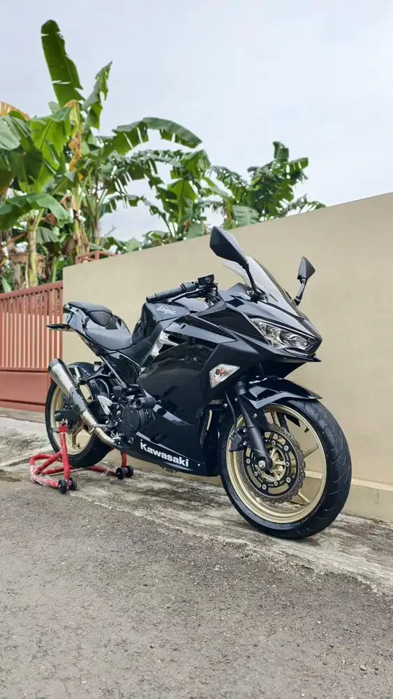 KAWSAKI NINJA FACE LIFT