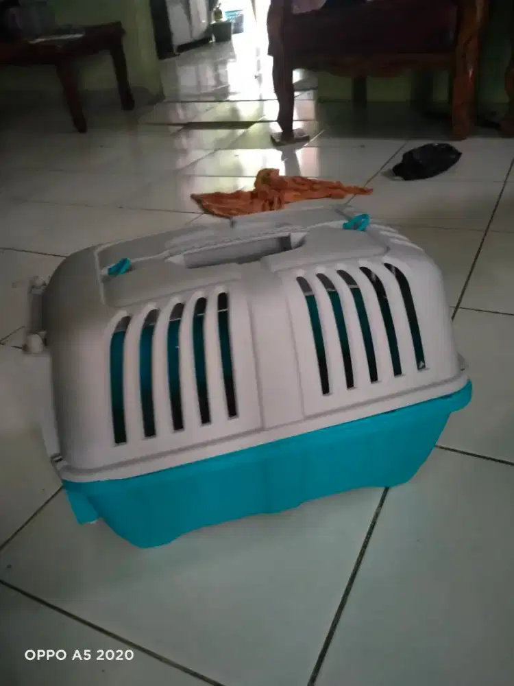 Jual kandang kucing