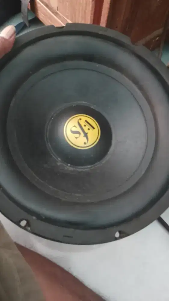 Dijual speaker 10 inci